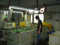 Our Mainland Factory